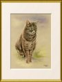 Cat Portrait, Pastel Painting