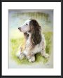 Dog Portrait, Pastel Painting