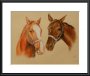 Horse portrait Hesse and Oldenburger, Pastel drawing