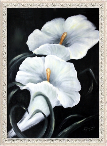 Weiße Calla Blumenbilder