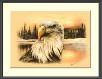 Bald Eagle Symbol of Freedom