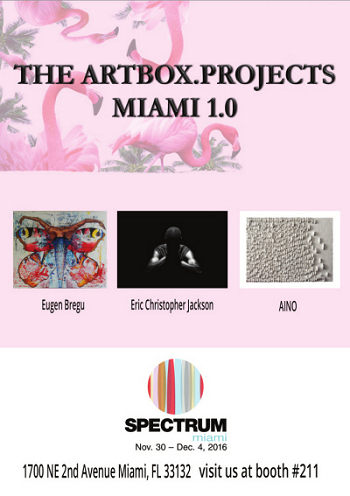Miami Artweeks 2016 Florida, Marita Zacharias